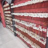 به فروشنده آرایشی و بدلیجات در نارمک نیازمندیم