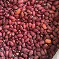 خرید لوبیا|عمده‌فروشی|نهاوند, |دیوار