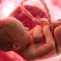 راهنمایی در خصوص رحم جایگزین