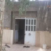 زمین زراعی|فروش دفتر صنعتی، کشاورزی، تجاری|قم, شهدا|دیوار