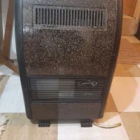 بخاری سالم و درحد نو