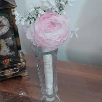 گل عروس