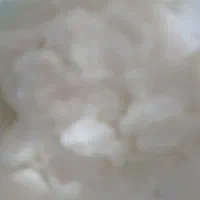 ماسته چکیده ولچ