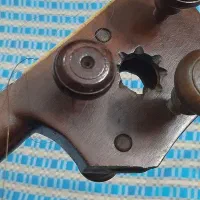 تارکامل یک تکه