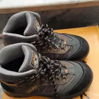 کفش کوهنوردی