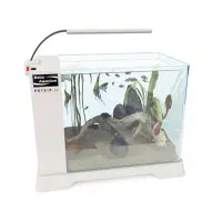 آکواریوم b102 دلسا