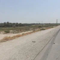 فروش ۲۵۰۰متر زمین تک برگ، بَرِ کمربندی بوشهر-شیراز|فروش زمین و ملک کلنگی|برازجان, |دیوار