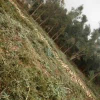 وام طرح احسان بانک کشاورزی