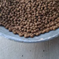 علف ماهی گرمابی