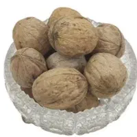 فروش گردو