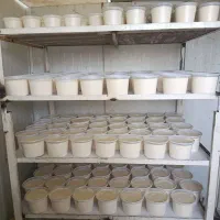 اجاره یا واگذاری پخش لبنیات