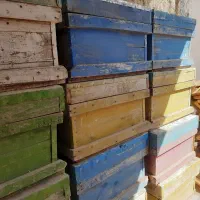 کندو زنبور عسل