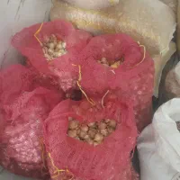 فروش موسیر بذری|خوردنی و آشامیدنی|همدان, |دیوار