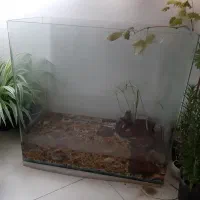 آکواریوم شیشه خم شرکتی