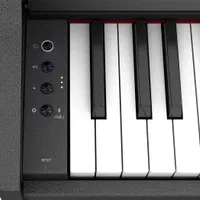 پیانو دیجیتال Roland RP107|پیانو، کیبورد، آکاردئون|مشهد, وکیل‌آباد|دیوار