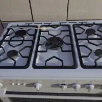 گاز فر دار دارای دو جوجه گردان