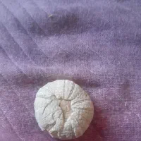 سنگهای قیمتی|کلکسیون و سرگرمی|سیاخ دارنگون, |دیوار