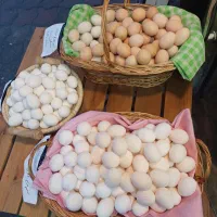 تخم مرغ زیر قیمت