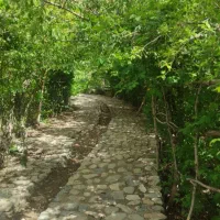 سفر یک روزه