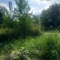 رهن خانه در آستانه اشرفیه|اجارهٔ خانه و ویلا|آستانه اشرفیه, |دیوار