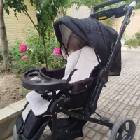 فروش کالسکه دلیجان مدل بنیتا