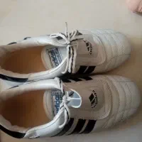 کفش فوتسال