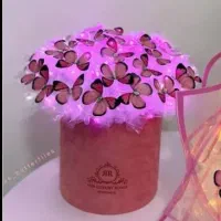 شب تاب های نورانی