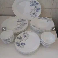 سرویس غذا خوری