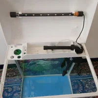 آکواریوم شرکتی درحد