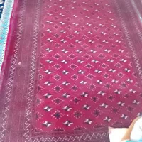 فرش دستبافت|فرش|مشهد, شهید قربانی|دیوار