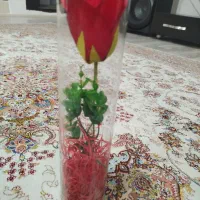 گل برای روز مادر و روز زن|گل مصنوعی|خوی, |دیوار