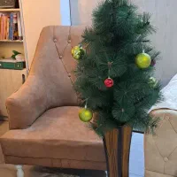 کاج مصنوعی در اندیشه شهرک آ اس پ