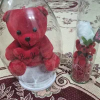 ۲ عدد تنگ عروسک|اسباب‌‌بازی|مشهد, کوی سیدی|دیوار