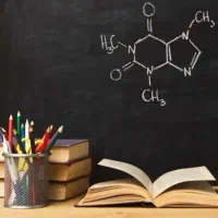 تمام مقاطع تحصیلی