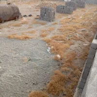 ملک کشاورزی دامداری جاده اخلمد معاوضه با گلبهار|فروش دفتر صنعتی، کشاورزی، تجاری|چناران, |دیوار