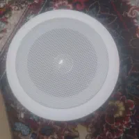 بلندگوی سقفی توکار ۱۰۰ وات