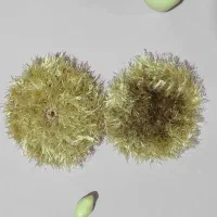 فروش اسکاج با کیفیت در مازندران|لوازم نظافت|قائمشهر, |دیوار