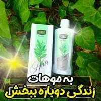 تونیک هیرفرند