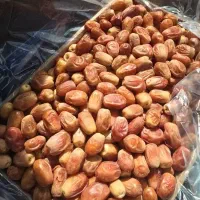 فروش عمده خرما زاهدی ارسال به سراسر ایران