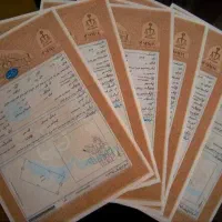 زیر-قیمت-یکدانگ-ازششدانگ-زمین-200متری-کیانشهر