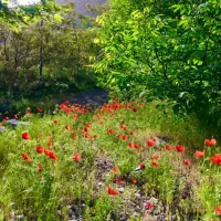 فروش-ویلایی-150متر-کلاهدوز-غرق-نور