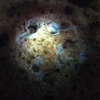 سنگ کمیاب...که چراغ یووی میخوره کلان سبز میشه