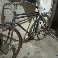 دوچرخه  فنیکس