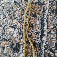 تسبیح شاه مقصود