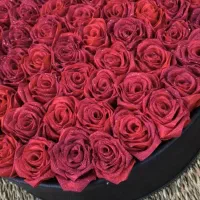 هدیه خاص و ماندگار برای روز زن و روز مادر