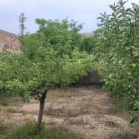 ۳۰۰۰ متر  تجاری ویلایی در فیروزکوه جاده ارجمند|فروش دفتر صنعتی، کشاورزی، تجاری|تهران, کیانشهر|دیوار