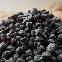 نخود سیاه