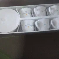 فنجان و نعلبکی لومینارک فرانسه