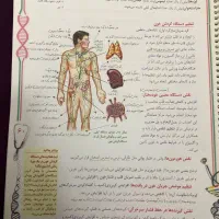 جزوه زیست دهم همراه با نکات و سوالات آزمون قلمچی|کتاب و مجله آموزشی|دابودشت, |دیوار