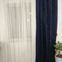 فرش|فرش|رشت, پل تالشان|دیوار